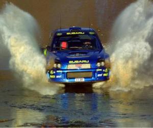 yapboz Ralli WRC - Passing su